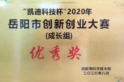“凯迪科技杯”2020年岳阳市创新创业大赛（成长组）优秀奖