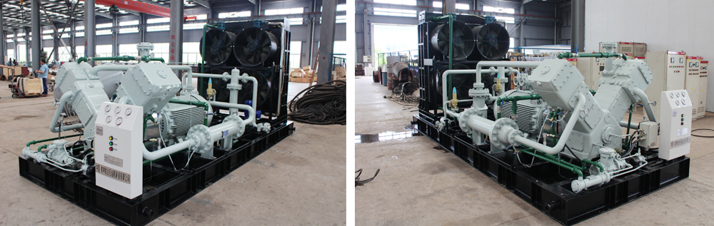 午夜看一级特黄A大片