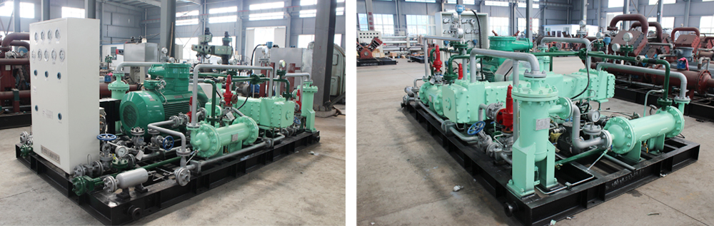 午夜看一级特黄A大片