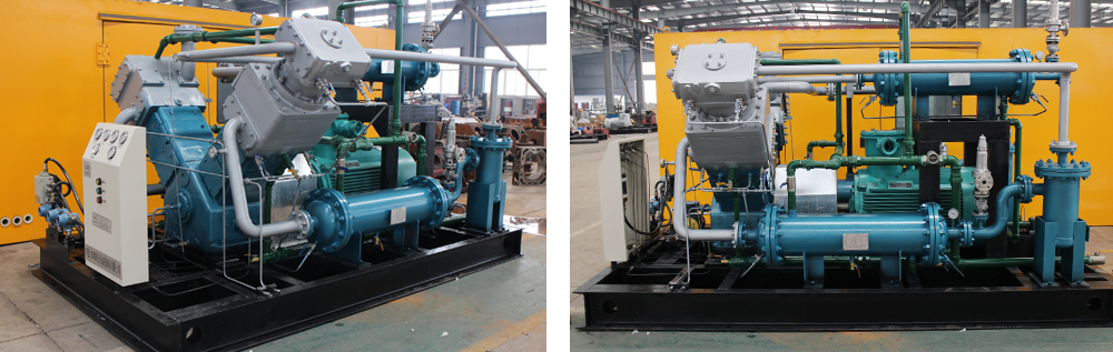 午夜看一级特黄A大片