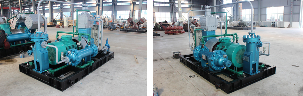 午夜看一级特黄A大片