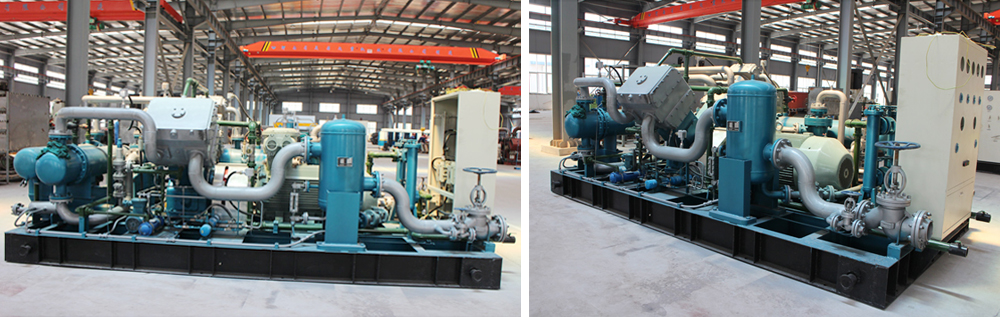 午夜看一级特黄A大片