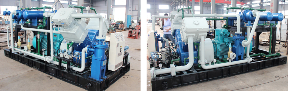 午夜看一级特黄A大片