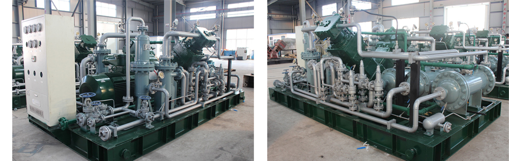 午夜看一级特黄A大片