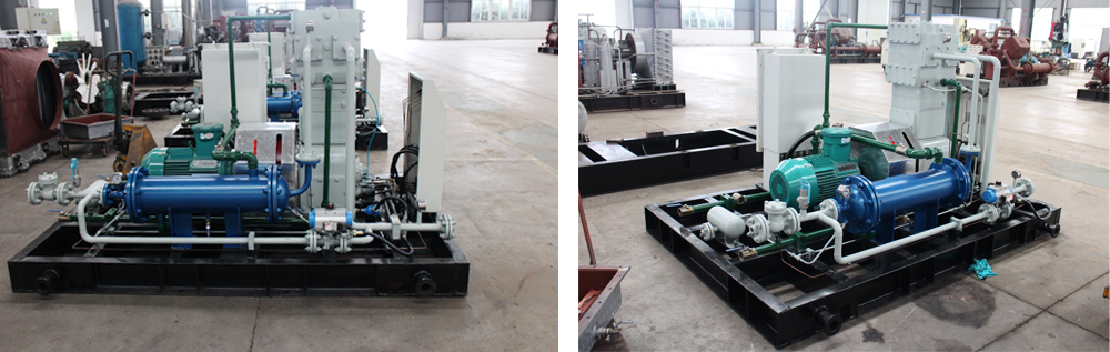 午夜看一级特黄A大片