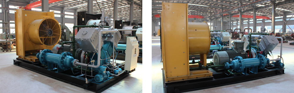 午夜看一级特黄A大片