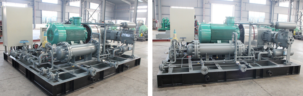 午夜看一级特黄A大片