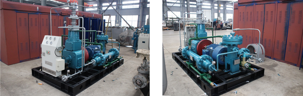 午夜看一级特黄A大片